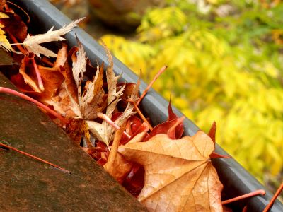 Fall Siding Maintenance